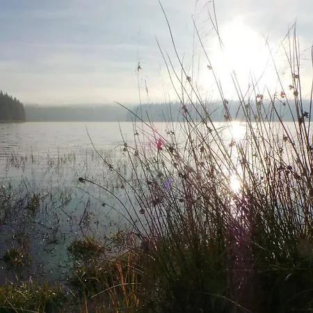 Kranichsee Wgh *